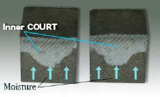 sample3.jpg