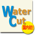cm_035.jpg