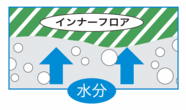 innerfloorcolor_04-02.png